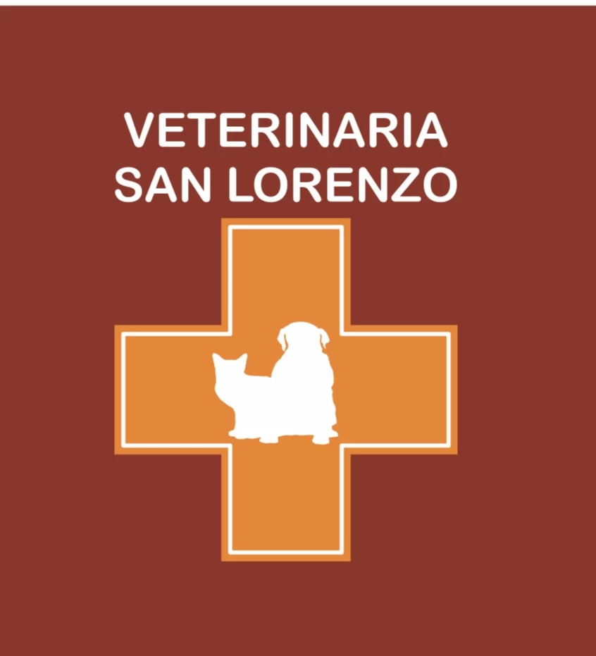 Veterinaria San Lorenzo