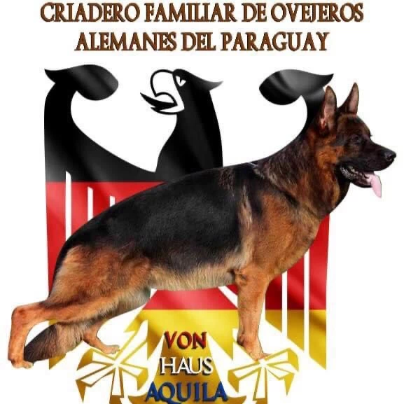 Criadero Familiar de Ovejeros Alemanes del Paraguay